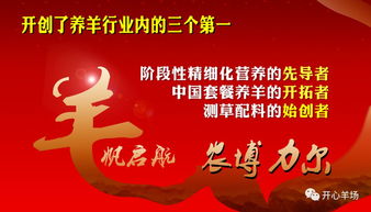 澄迈大学生返乡创业 成众乡亲脱贫路上 领头羊